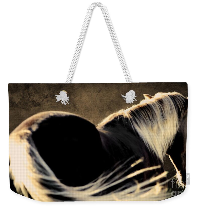Animal Weekender Tote Bag featuring the photograph Calm Awareness 1 Vignette by Michelle Twohig