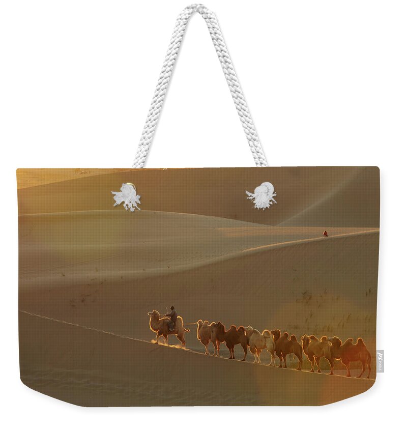 Working Animal Weekender Tote Bag featuring the photograph Camels On A Desert by Wilbur Law