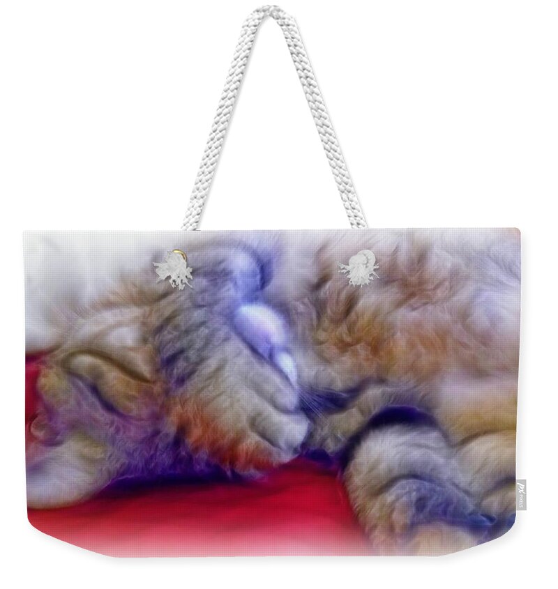 Cat Weekender Tote Bag featuring the photograph Camera Shy Kitty by Lilia D
