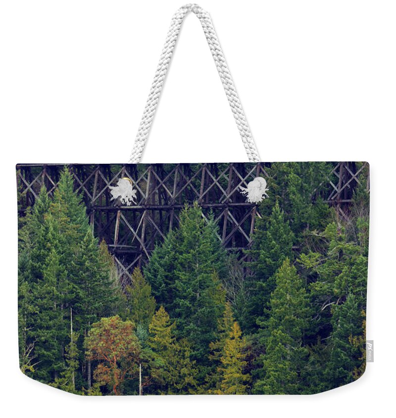 Forest Weekender Tote Bag featuring the photograph Cameron Trestle by Randy Hall
