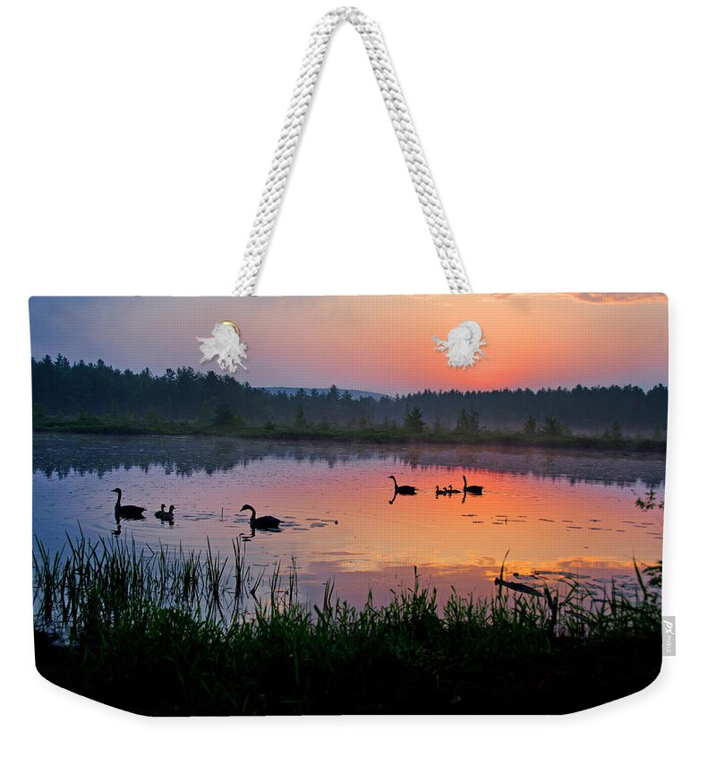 Canada Weekender Tote Bag featuring the photograph Canada Geese Sunrise by Donna Doherty