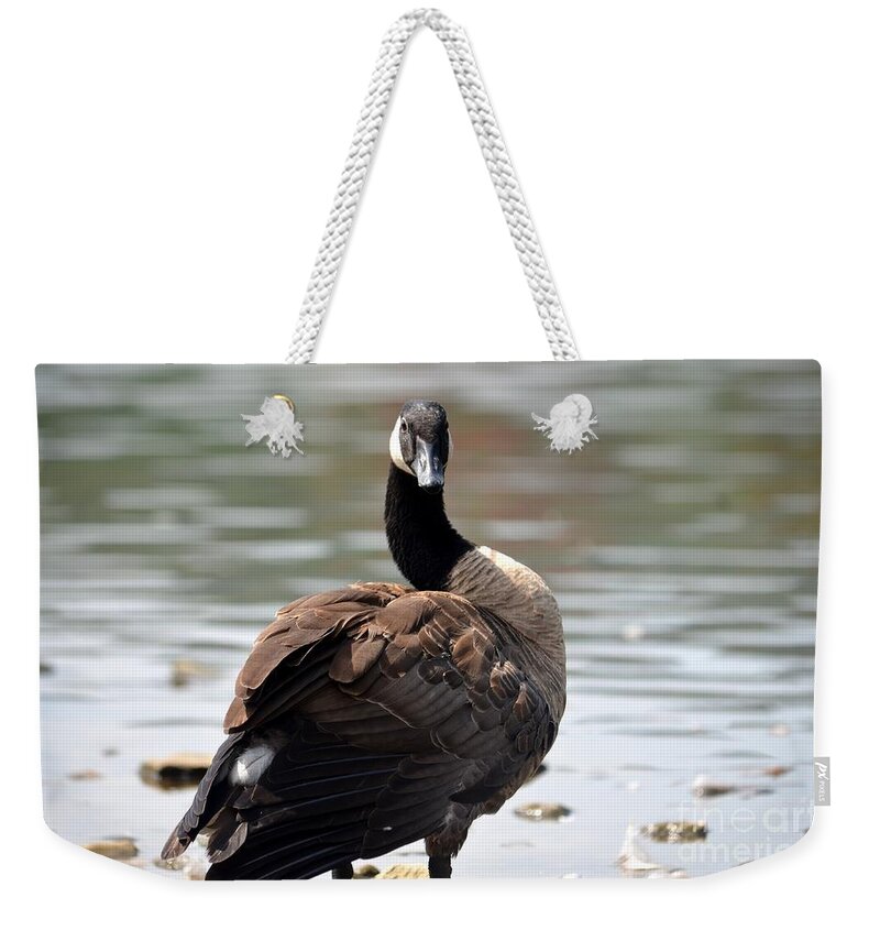 Canadian Beauty 2014 Weekender Tote Bag featuring the photograph Canadian Beauty 2014 by Maria Urso