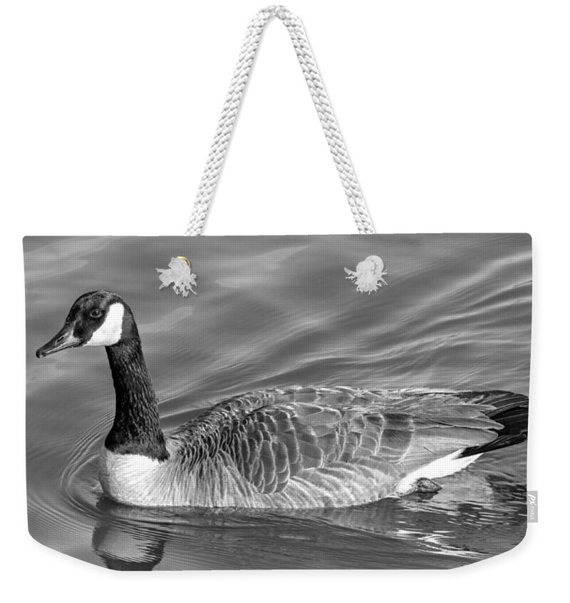 Nature Weekender Tote Bag featuring the photograph Canadian Goose by Bernd Laeschke