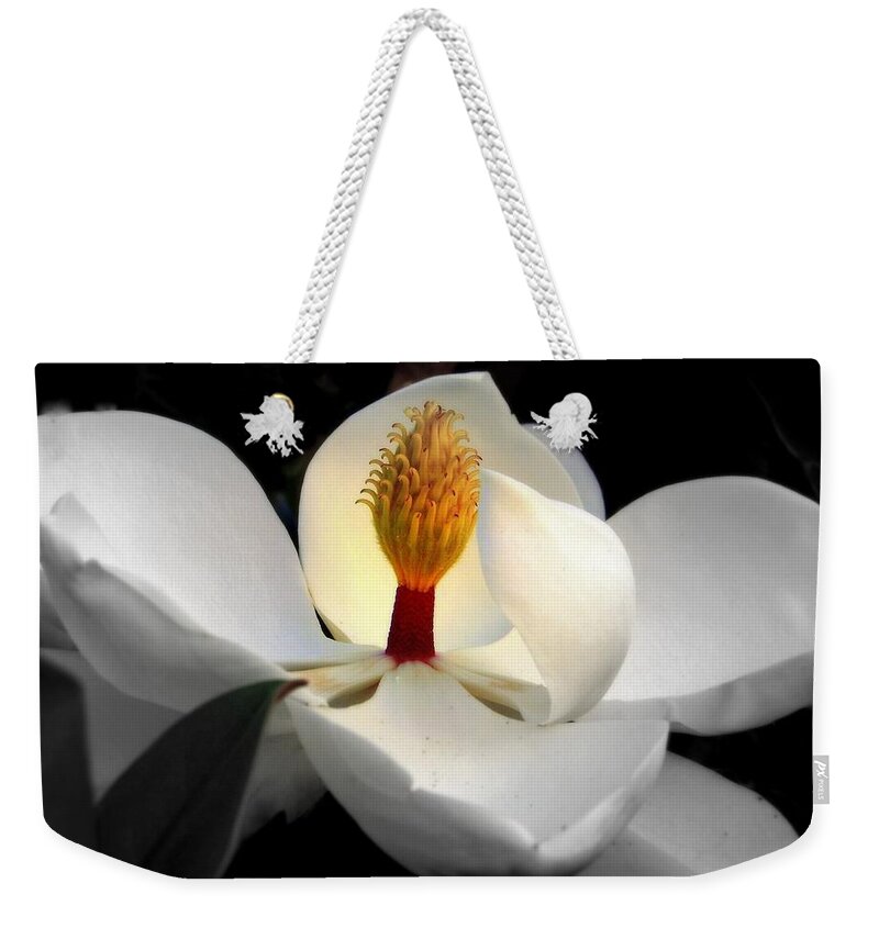 Magnolias Weekender Tote Bag featuring the photograph CANDLE in the WIND by Karen Wiles