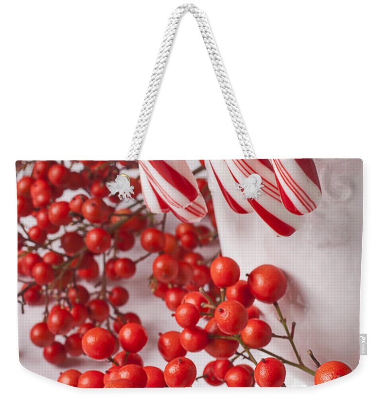 Designs Similar to Candy Canes and Red Berries