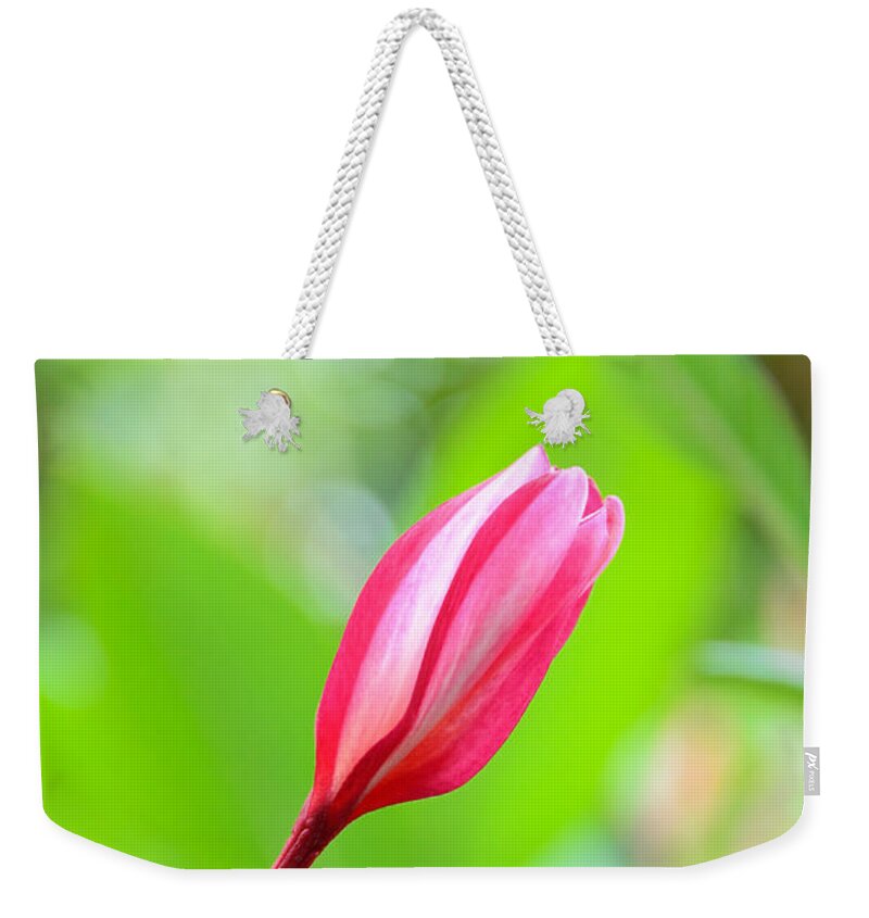 David Lawson Photography Weekender Tote Bag featuring the photograph Candy Stripe by David Lawson
