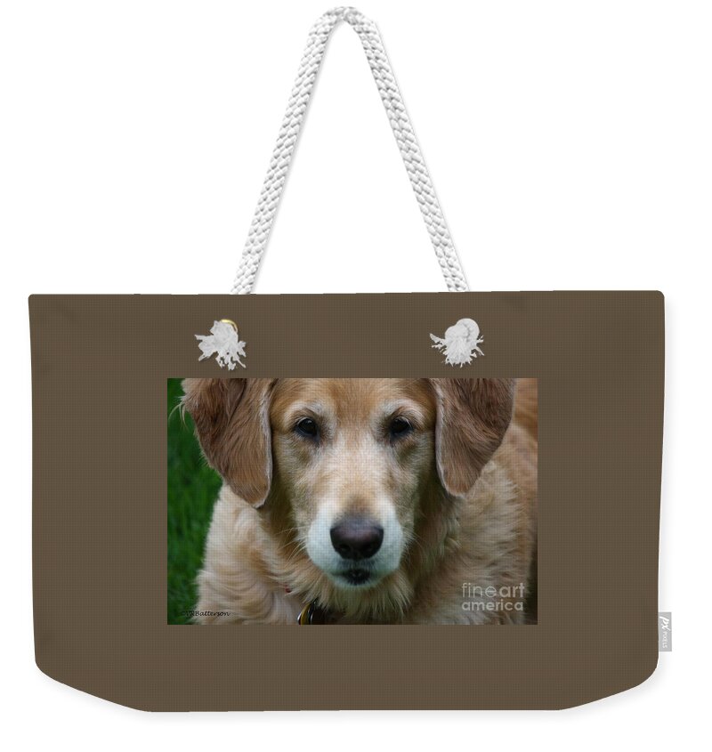 Dog Weekender Tote Bag featuring the photograph Canine Close Up by Veronica Batterson