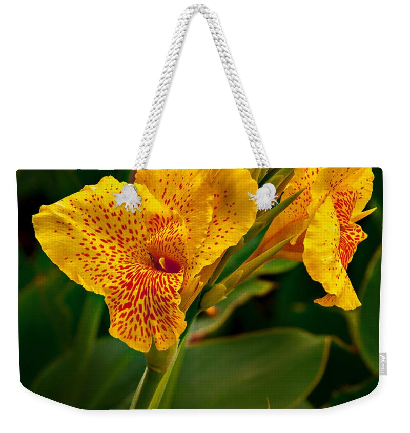 Canna Weekender Tote Bag featuring the photograph Canna Blossom by Mary Jo Allen