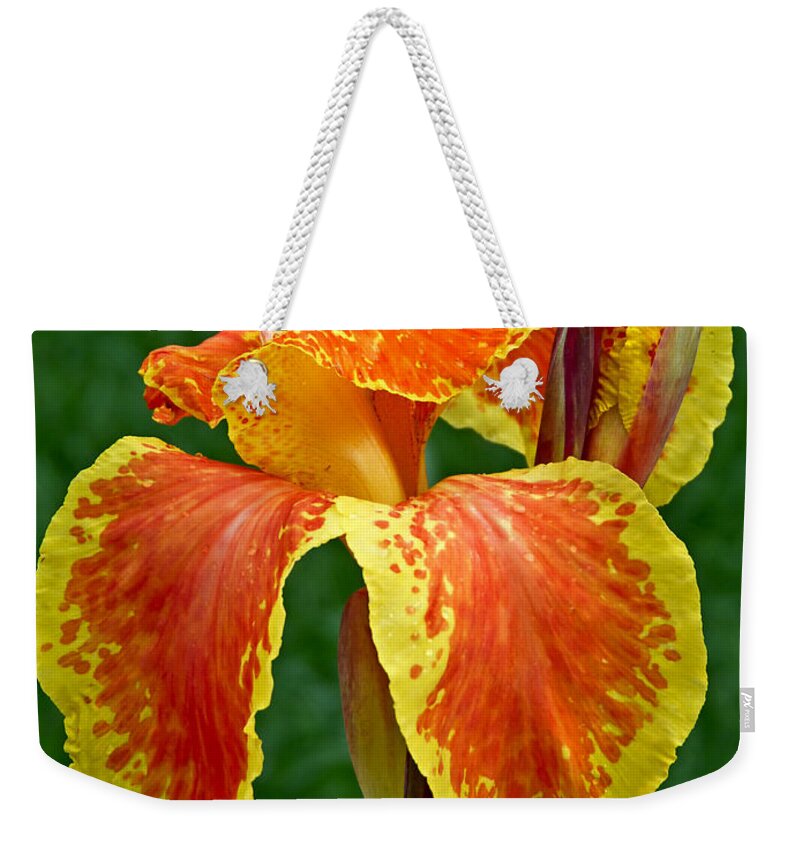 Macro Weekender Tote Bag featuring the photograph Canna Lily Portrait by Pete Trenholm