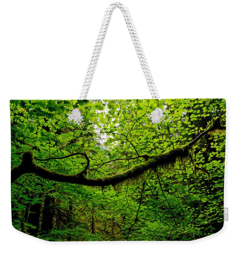 Washington Weekender Tote Bag featuring the photograph Canopy by Dustin LeFevre