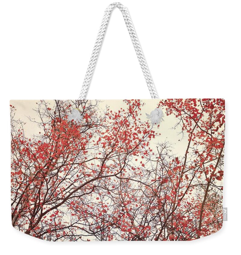 Red Weekender Tote Bag featuring the photograph canopy trees II by Priska Wettstein