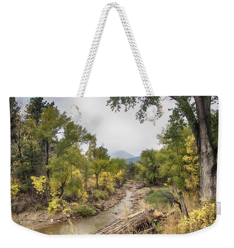 Fall Foliage Weekender Tote Bag featuring the photograph Canyon Gazing by James BO Insogna