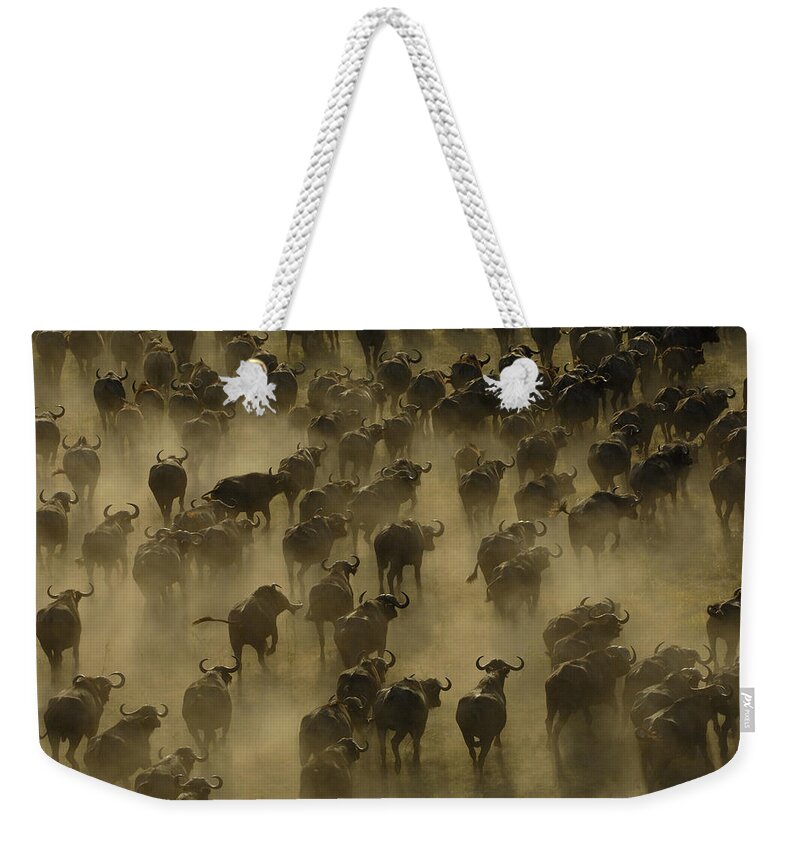 Feb0514 Weekender Tote Bag featuring the photograph Cape Buffalo Herd Stampeding Africa by Pete Oxford