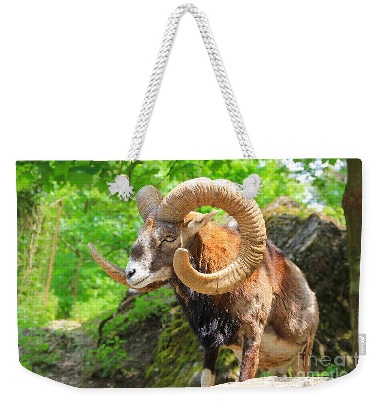  Alpine Weekender Tote Bag featuring the photograph Capricorne 2 by Amanda Mohler