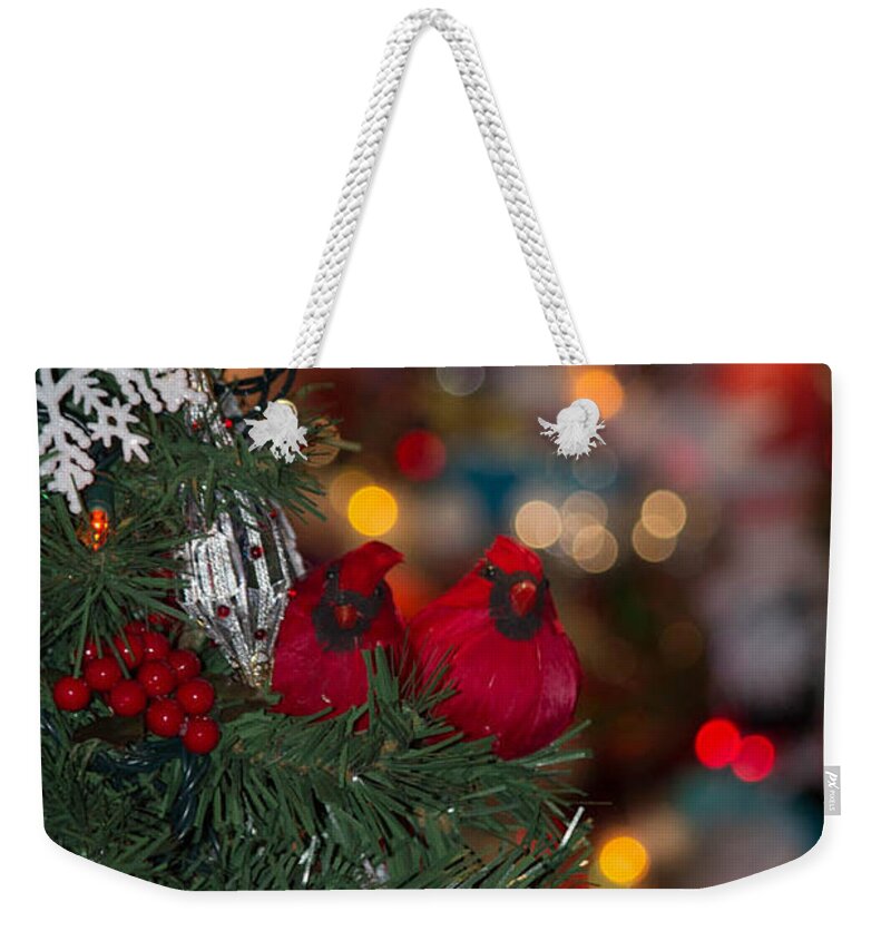 Birds Weekender Tote Bag featuring the photograph Cardinals by Patricia Babbitt
