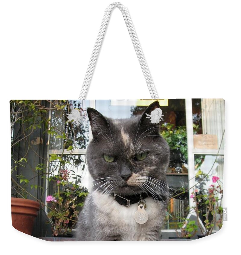 Cat Weekender Tote Bag featuring the photograph Carmel Shopkeeper by James B Toy