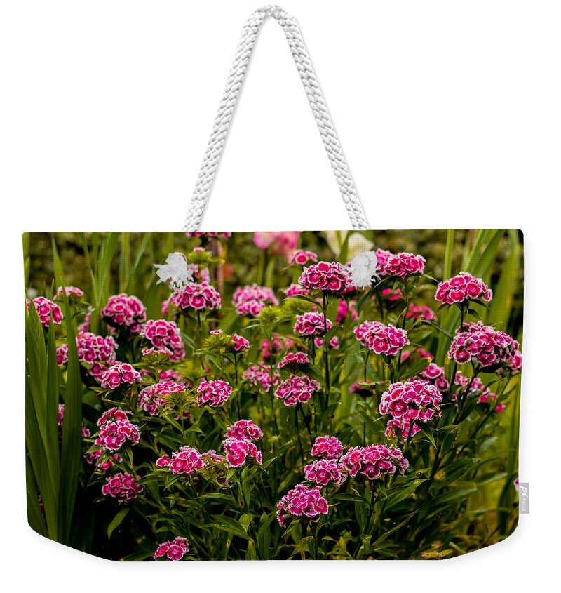 Pink Weekender Tote Bag featuring the photograph Carnations by Marco Oliveira