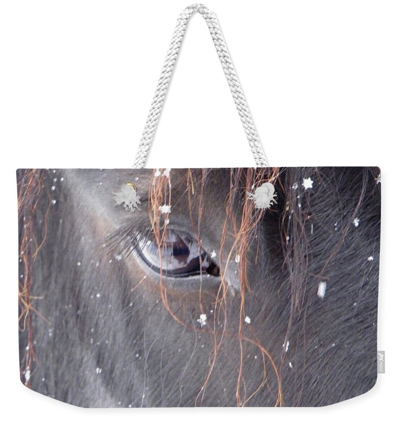 Fell Pony Weekender Tote Bag featuring the photograph Carol's Winter Kiss by Lori Ann Thwing