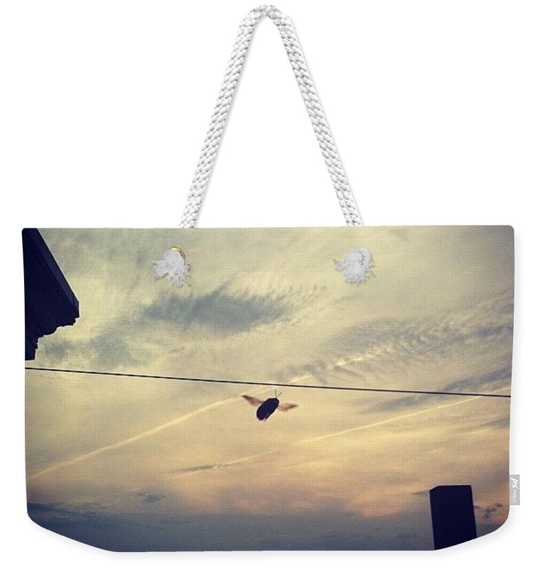 Bee Weekender Tote Bag featuring the photograph Carpenter Bees Abound On The Deck by Katie Cupcakes