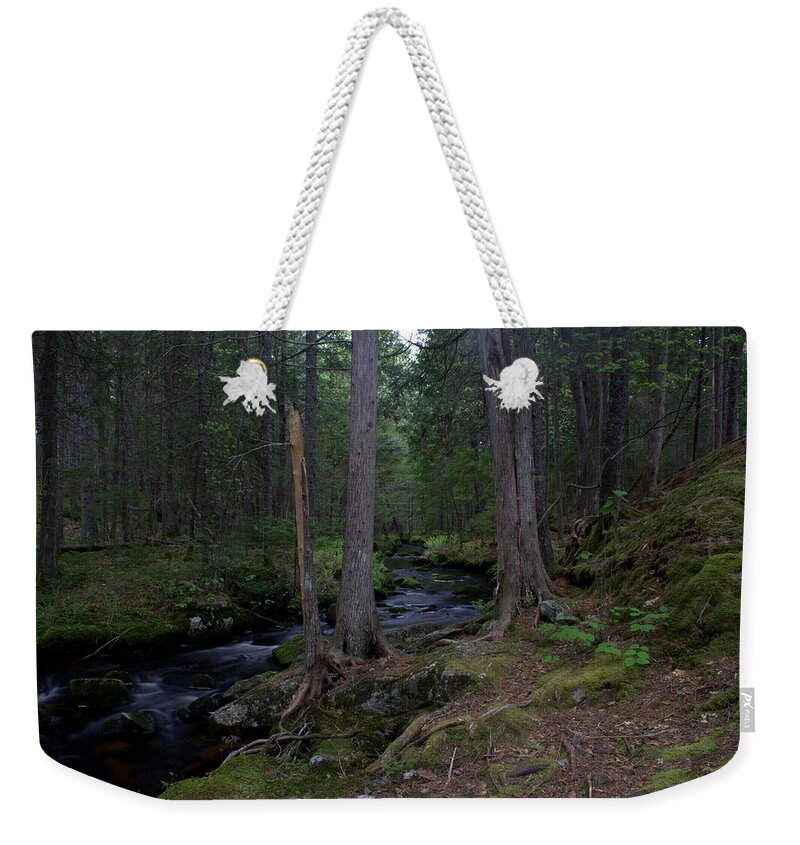 River Weekender Tote Bag featuring the photograph Carving A Path by Greg DeBeck