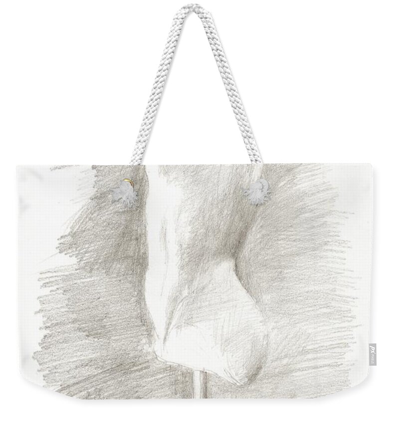 Torso Weekender Tote Bag featuring the drawing Ancient sculpture torso study by Karina Plachetka