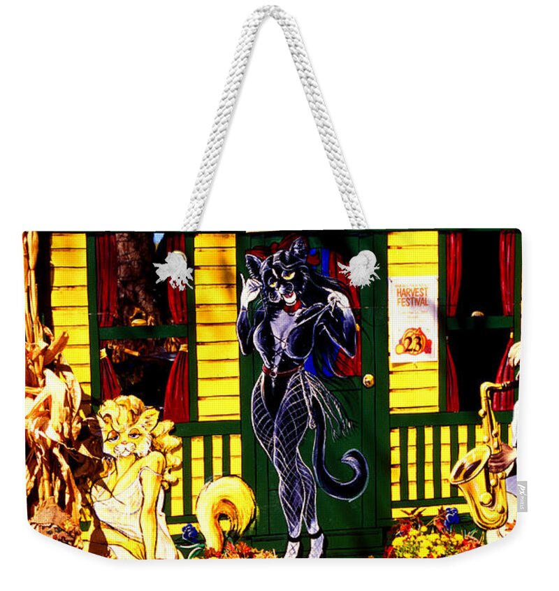 Cat Weekender Tote Bag featuring the photograph Cat Cat House by Paul W Faust - Impressions of Light