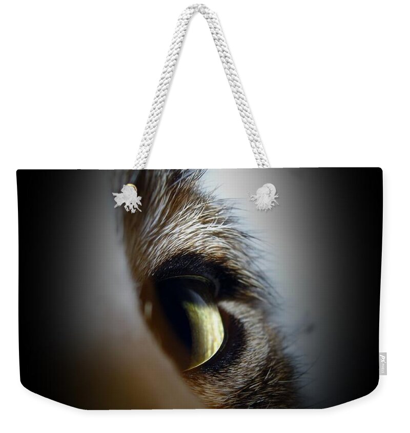 Michelle Meenawong Weekender Tote Bag featuring the photograph Cat Eye by Michelle Meenawong