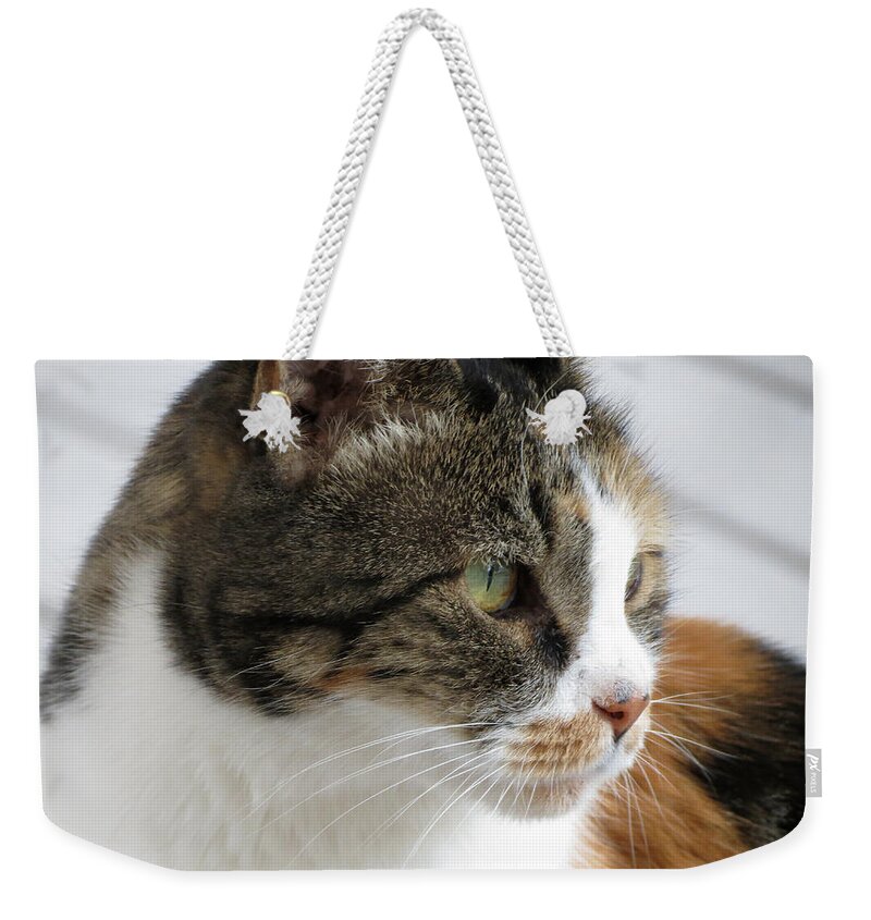 Cat Weekender Tote Bag featuring the photograph Cat by Laurel Powell