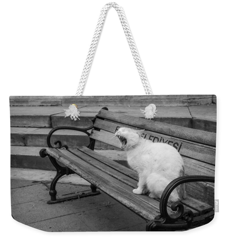 Cat Weekender Tote Bag featuring the photograph Cat on a bench by Shirley Radabaugh