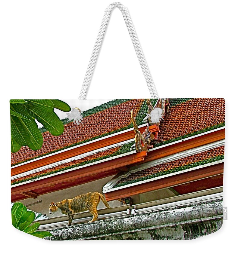 Cat On A Wat Po Roof In Bangkok Weekender Tote Bag featuring the photograph Cat on a Wat Po Roof in Bangkok-Thailand by Ruth Hager