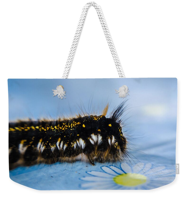 Insect Weekender Tote Bag featuring the photograph Caterpillar on the table by Michael Goyberg