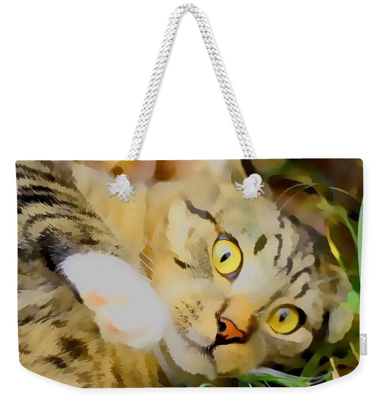 Landscape Weekender Tote Bag featuring the photograph Cat Play in Paint by Morgan Carter