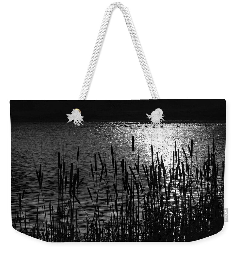 Cattails Weekender Tote Bag featuring the photograph Cattails 2 by Susan McMenamin