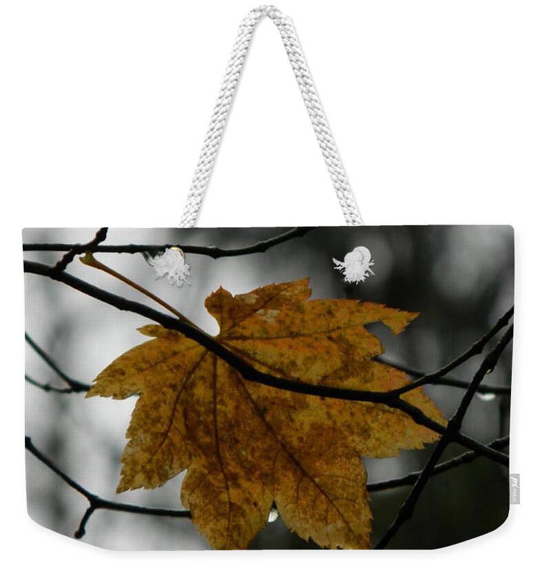Nature Weekender Tote Bag featuring the photograph Caught by Gallery Of Hope 