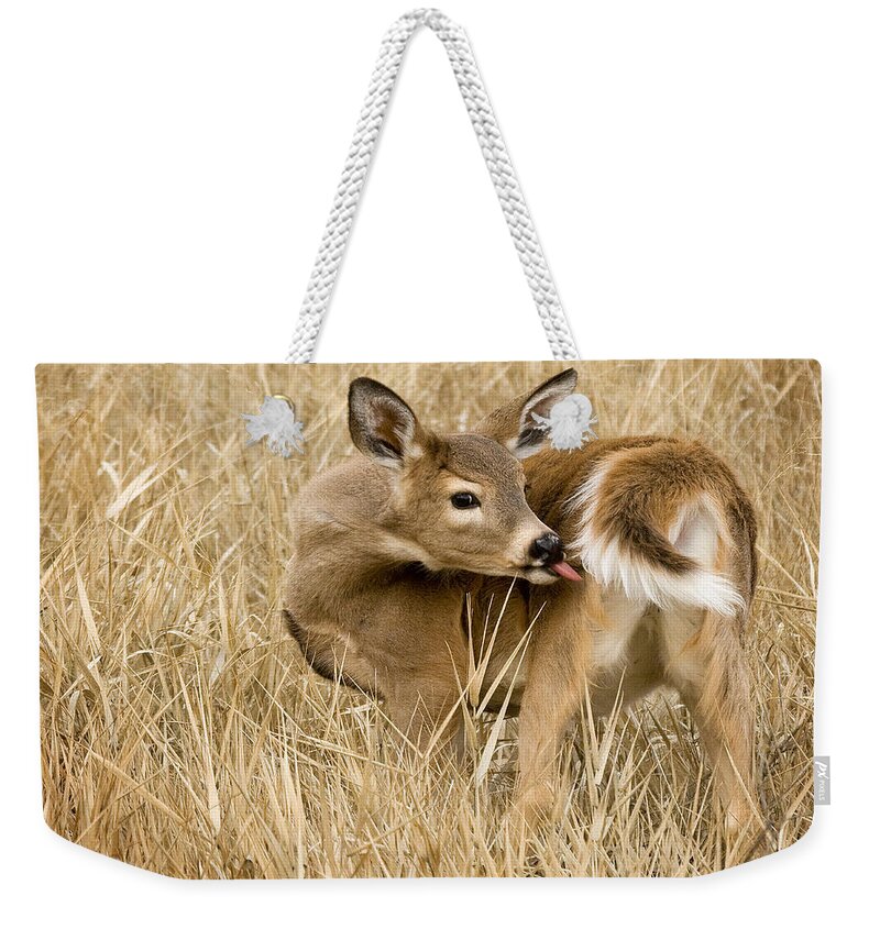 Whitetail Weekender Tote Bag featuring the photograph Caught In The Act by Paul DeRocker