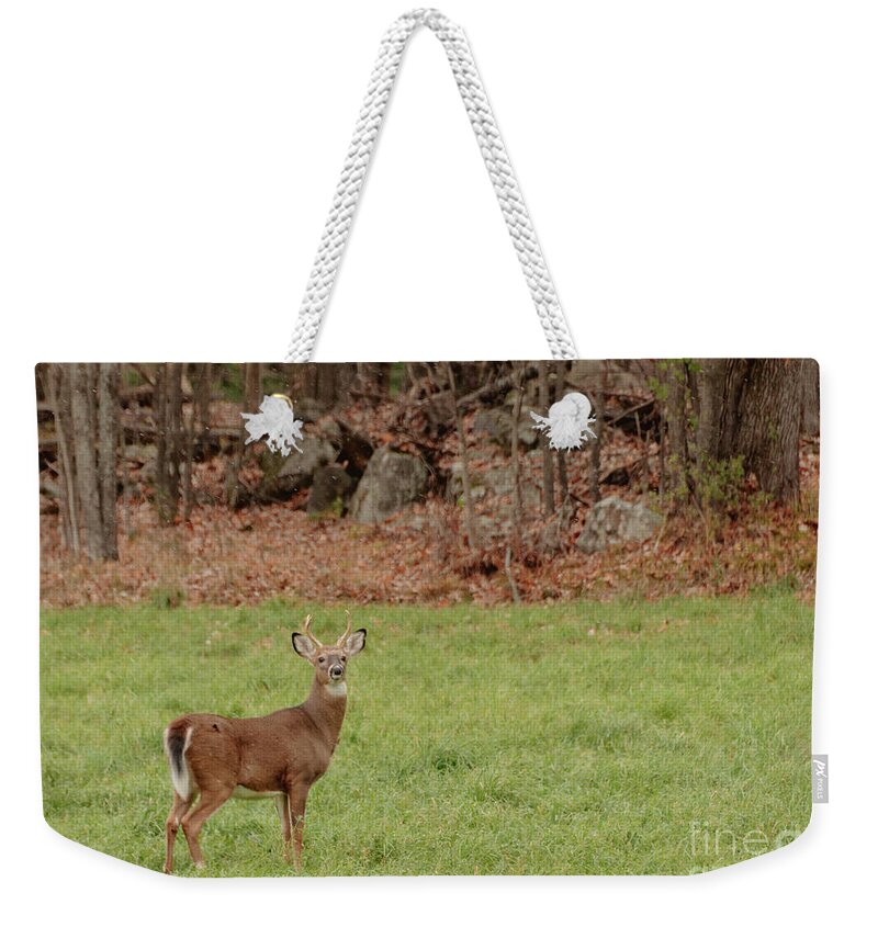 Landscapes Weekender Tote Bag featuring the photograph Cautious by Cheryl Baxter