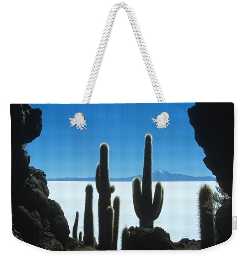 Bolivia Weekender Tote Bag featuring the photograph Cave and cacti Incahuasi Island by James Brunker