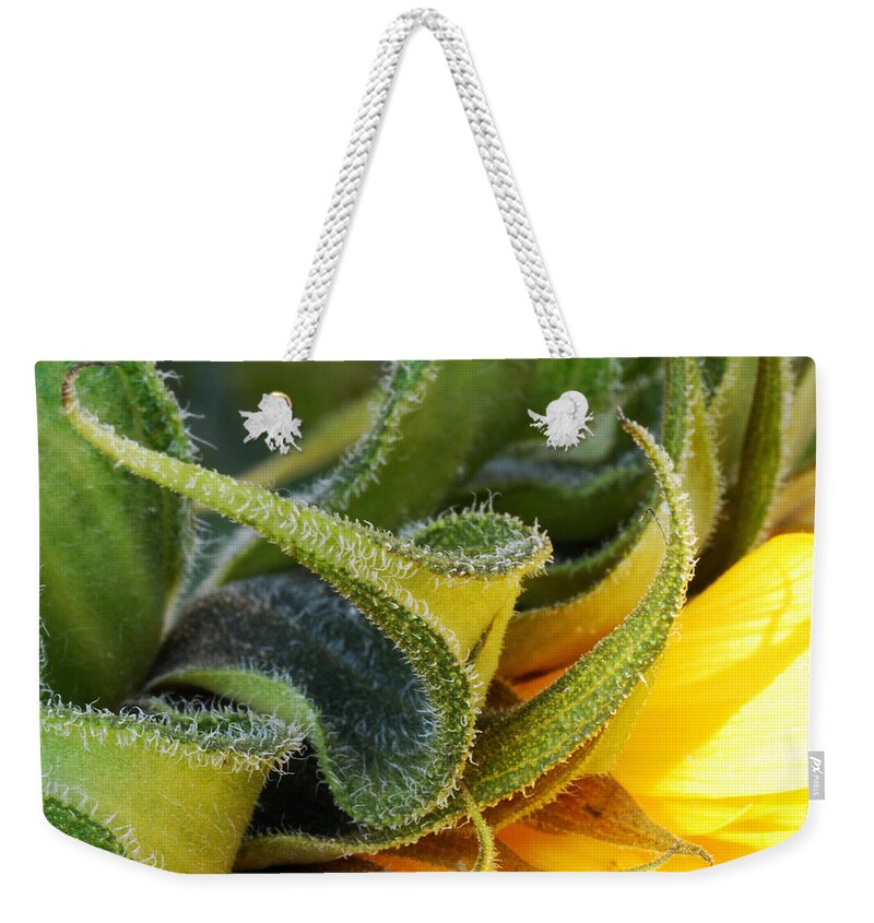 Celebration Weekender Tote Bag featuring the photograph Celebration Sunflower by Wendy Wilton