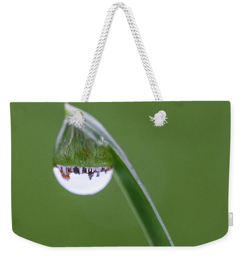 Grass Weekender Tote Bag featuring the photograph Cemetery Dew by Barbara Friedman