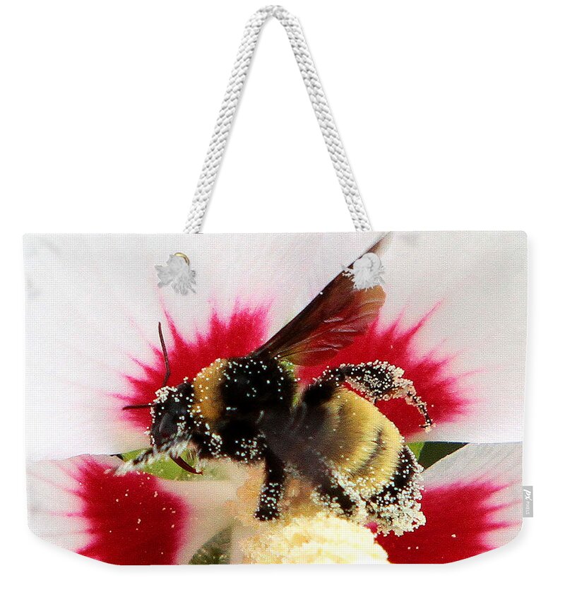 Bees Weekender Tote Bag featuring the photograph Center of Attention by John Freidenberg