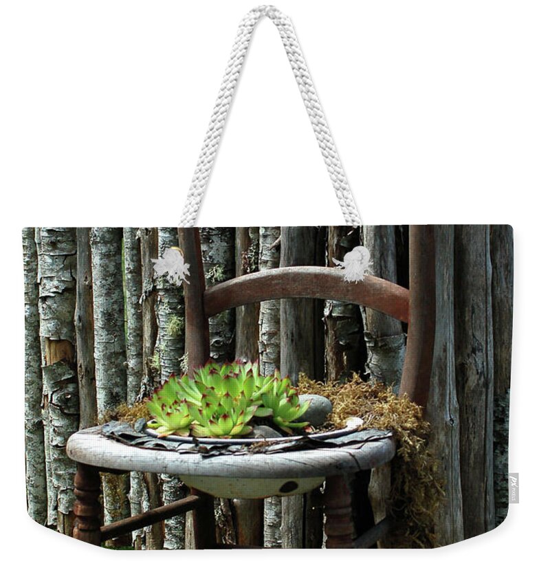 Planter Weekender Tote Bag featuring the photograph Chair planter by Ron Roberts