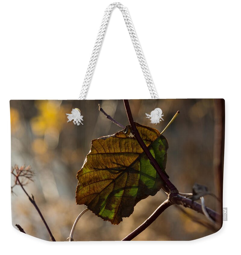 Changing Color Weekender Tote Bag featuring the photograph Changing Color for Fall by Georgia Mizuleva