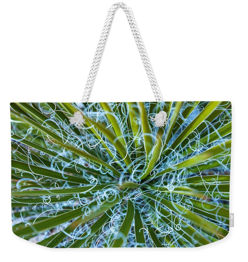 Nature Weekender Tote Bag featuring the photograph Chaos by Jonathan Nguyen