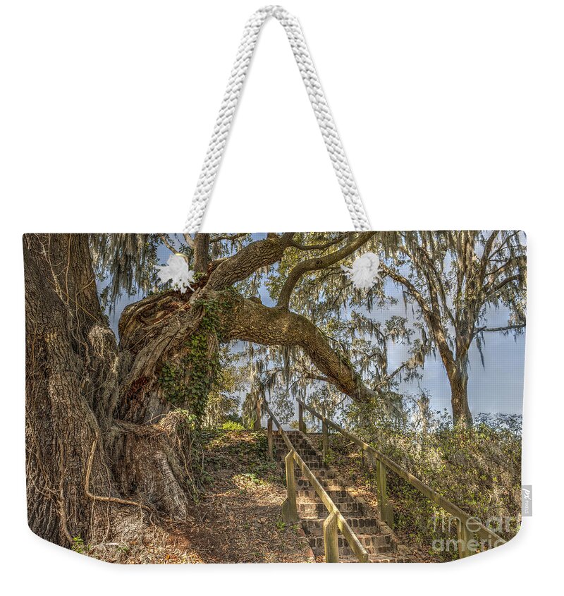 Live Oak Tree Weekender Tote Bag featuring the photograph Charleston Oak Stairway by Dale Powell