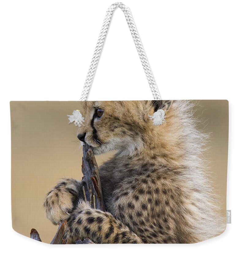 Suzi Eszterhas Weekender Tote Bag featuring the photograph Cheetah Cub Maasai Mara Reserve by Suzi Eszterhas