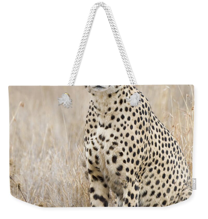 Suzi Eszterhas Weekender Tote Bag featuring the photograph Cheetah Male Kenya by Suzi Eszterhas