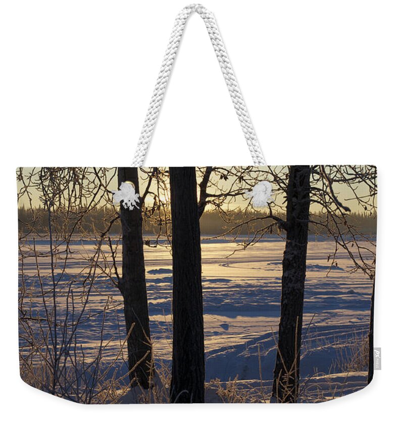 Trees Weekender Tote Bag featuring the photograph Chena River Trees by Cathy Mahnke