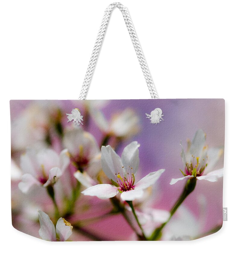 Cherry Blossom Trees Weekender Tote Bag featuring the photograph Cherry Blossom Flower by Crystal Wightman