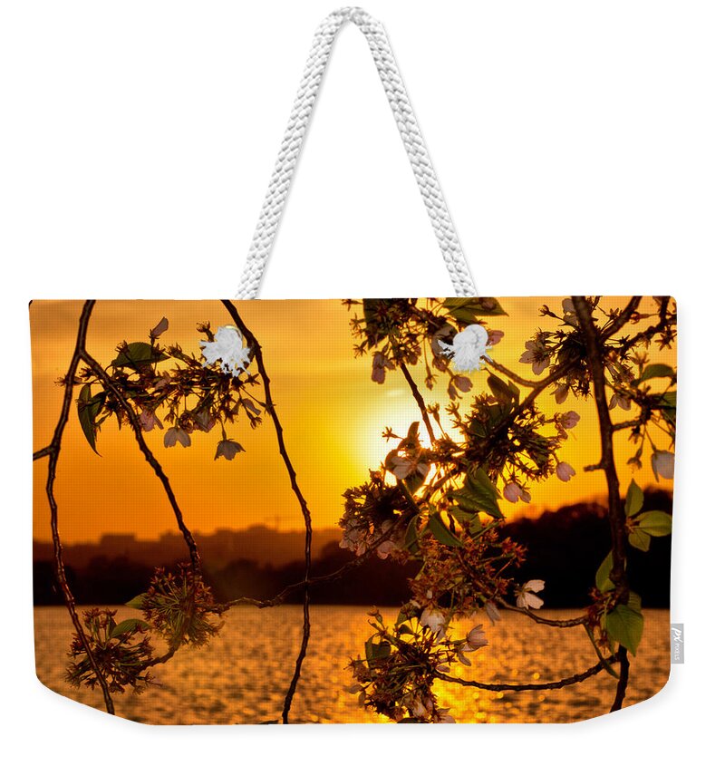 America Weekender Tote Bag featuring the photograph Cherry Blossom Sunset by Mitchell R Grosky