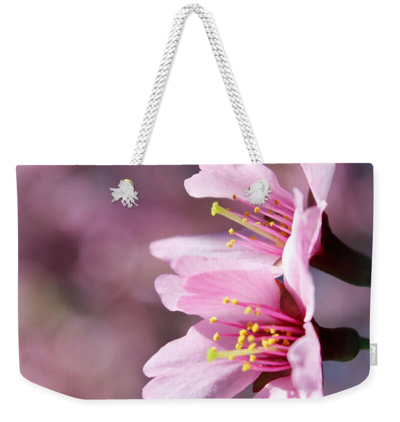 Skompski Weekender Tote Bag featuring the photograph Cherry Blossoms by Joseph Skompski